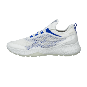 ECCO M GOLF BIOM H5 13800461109